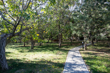 Similar image 21937318