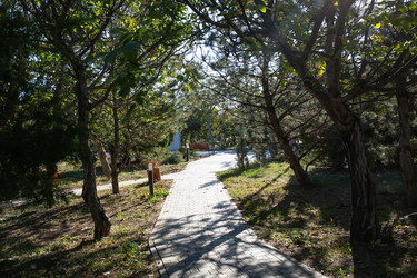 Similar image 21937319