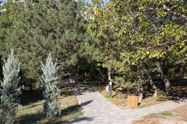 Similar image 21937322