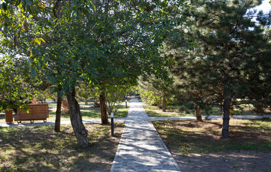 Similar image 21937323