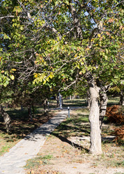 Similar image 21937324