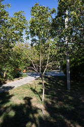 Similar image 21937325