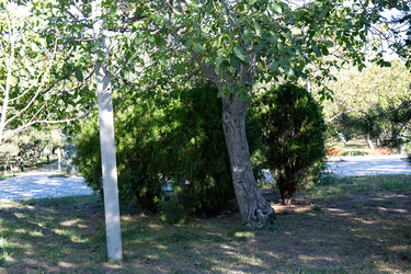 Similar image 21937326