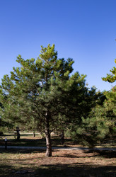 Similar image 21937328