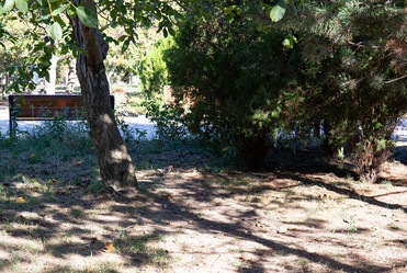 Similar image 21937329