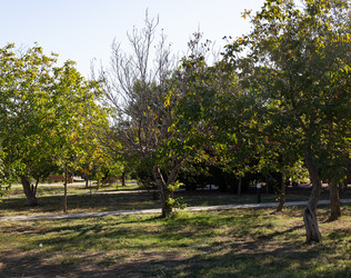 Similar image 21937393