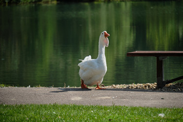 Similar image 21936653