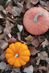 Similar image 21935778