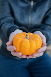 Similar image 21935780