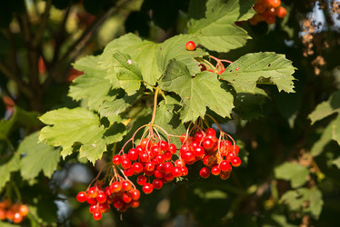 Similar image 21939080