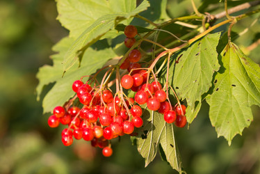 Similar image 21939084