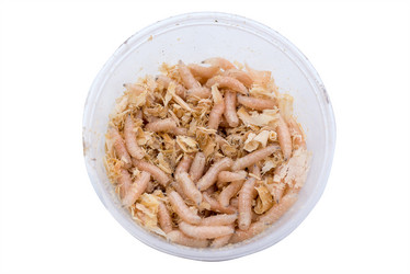 Similar image 21939086