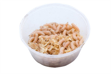 Similar image 21939090