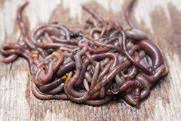 Similar image 21939098