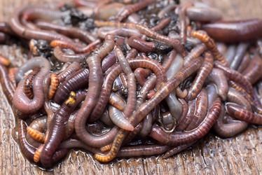 Similar image 21939100