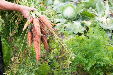 Similar image 21939101