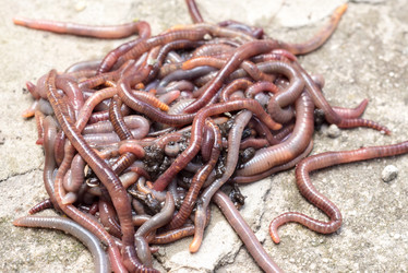 Similar image 21939102