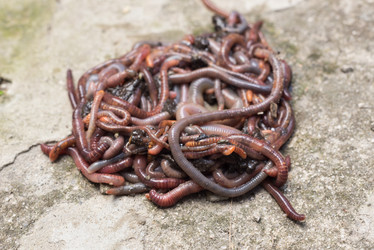 Similar image 21939191