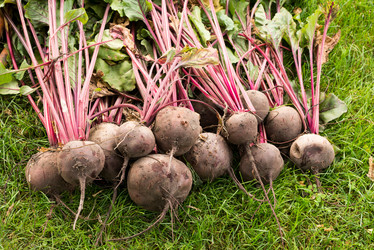 Similar image 21939192