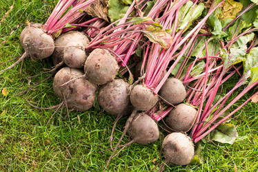 Similar image 21939196