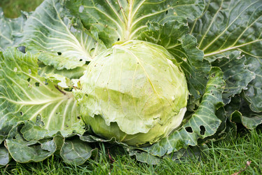 Similar image 21939200