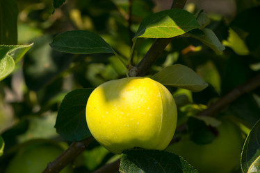 Similar image 21939202