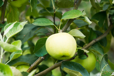 Similar image 21939206