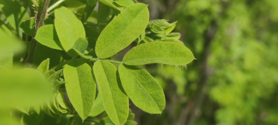 Similar image 21938610