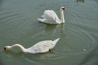 Similar image 21936654