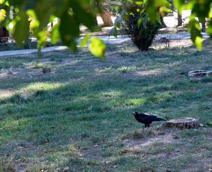 Similar image 21937333