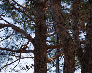 Similar image 21937398