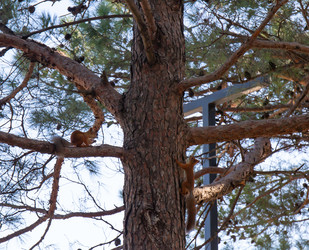 Similar image 21937399