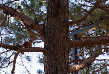 Similar image 21937400