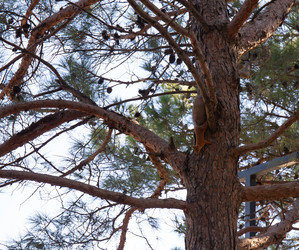 Similar image 21937401