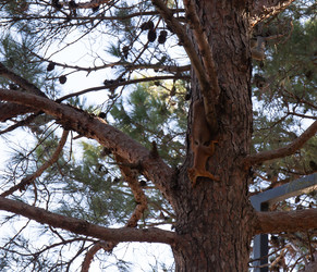 Similar image 21937402