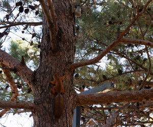 Similar image 21937403