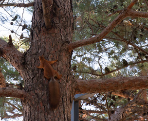 Similar image 21937404