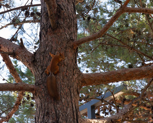 Similar image 21937405