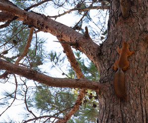 Similar image 21937406