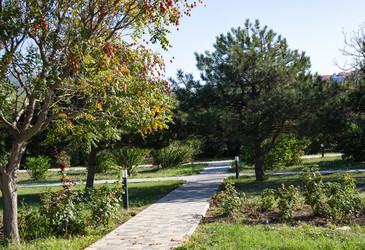 Similar image 21937415