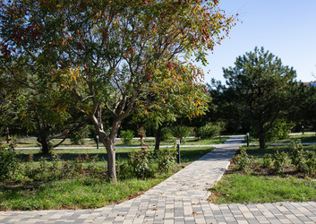 Similar image 21937416