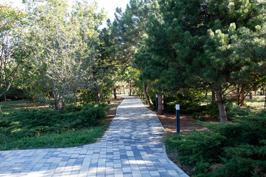 Similar image 21937418