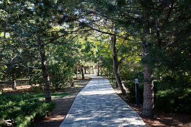 Similar image 21937419