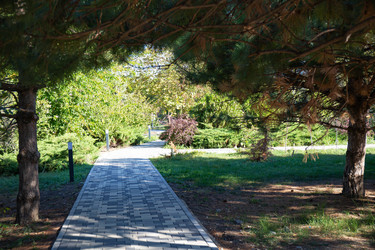 Similar image 21937420