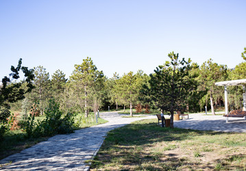 Similar image 21937422