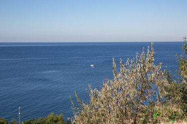 Similar image 21937430