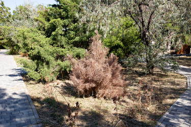 Similar image 21937431