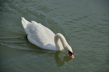 Similar image 21936655