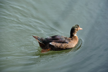 Similar image 21936656