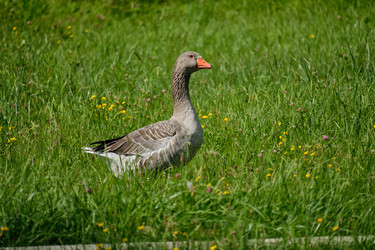 Similar image 21936657